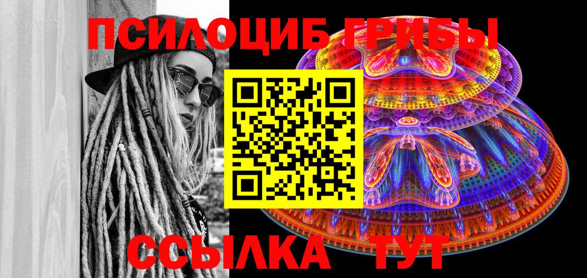 Псилоцибиновые грибы Psilocybine cubensis Тольятти